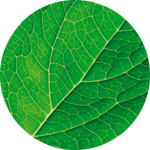 cropstericon