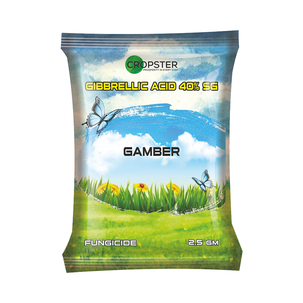 GAMBER